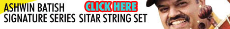 Batish Standard Sitar String Set