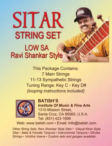 Sitar String Set